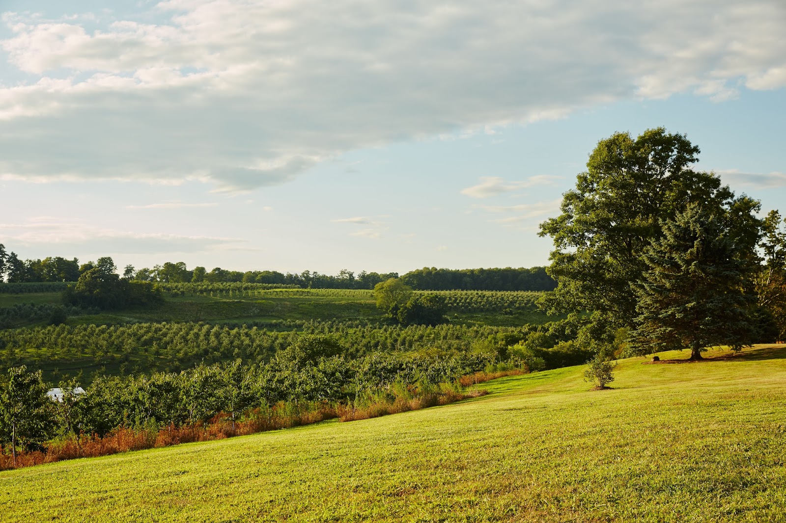 Newport Academy 64 Double Hill Road